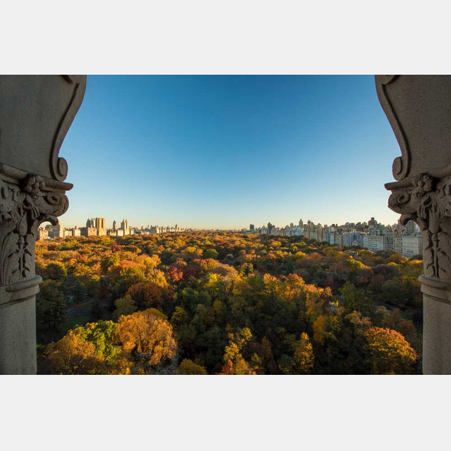 The Ritz-Carlton New York, Central Park - ザ ・リッツ・カールトン・ニューヨーク セントラルパーク