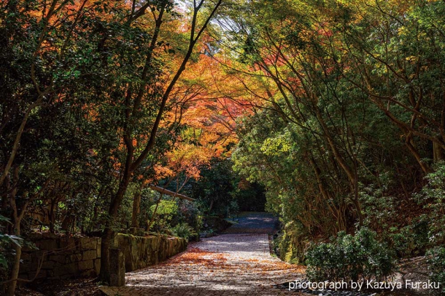 アマン京都 - AMAN KYOTO